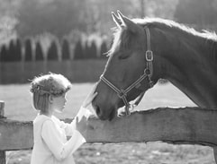 Norwich-Park-Love-Horses